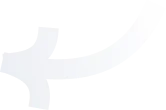 organizer